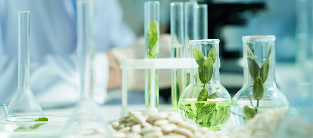 生物基高性能制品解决方案